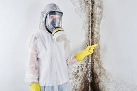 Best Mold Removal for HVAC Installations  in Tekamah, NE